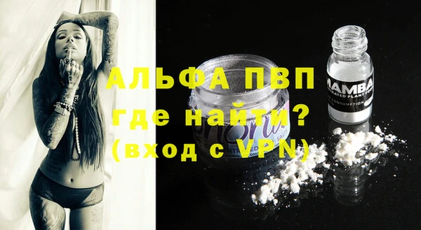 индика Балабаново