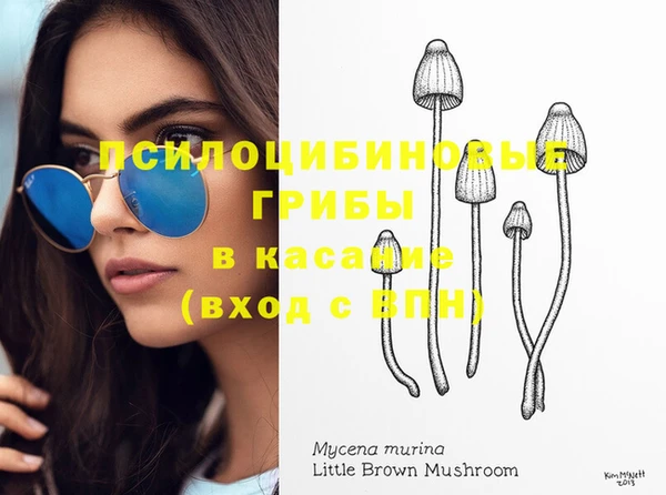 дживик Аркадак